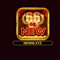 new66xyz