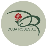 dubairoses