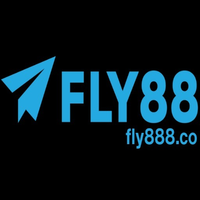 Fly888co1